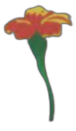 SPHL logo